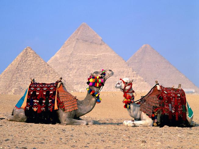 Египет прямым рейсом из Хабаровска